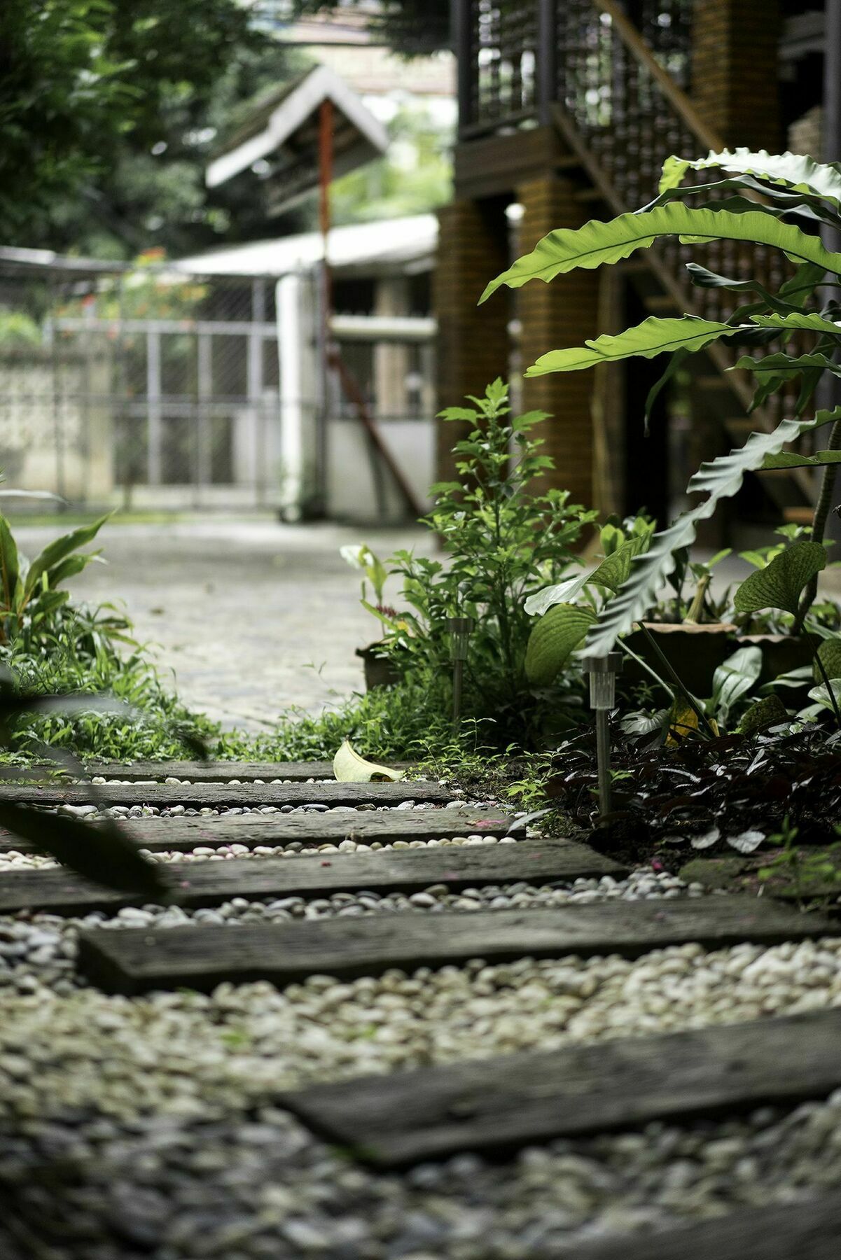 Sarah Guest House Chiang Mai Exterior photo